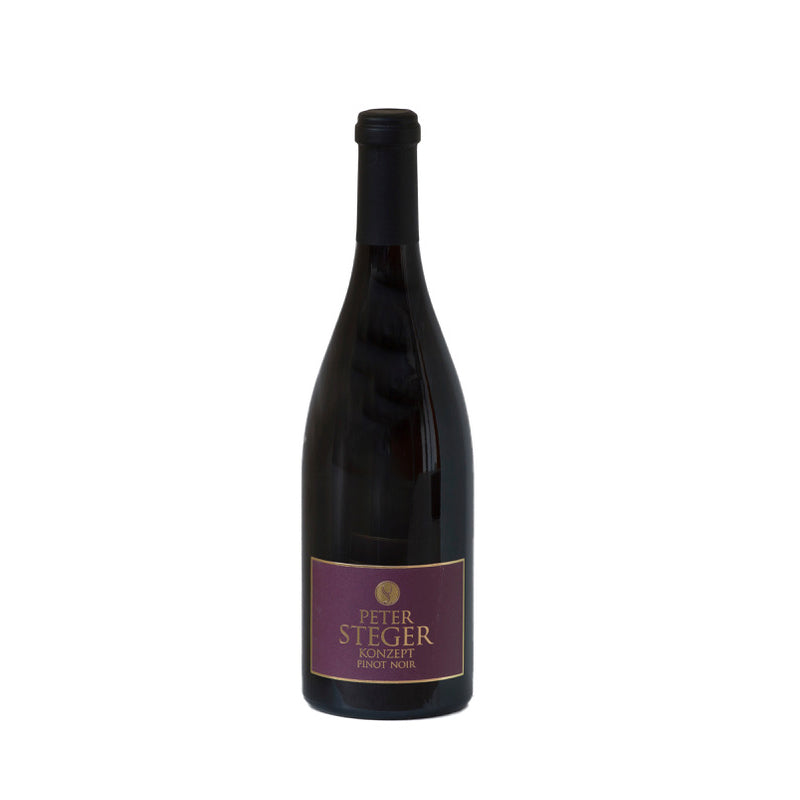 Peter Steger Konzept 2015 Pinot Noir, Baden 1,50l